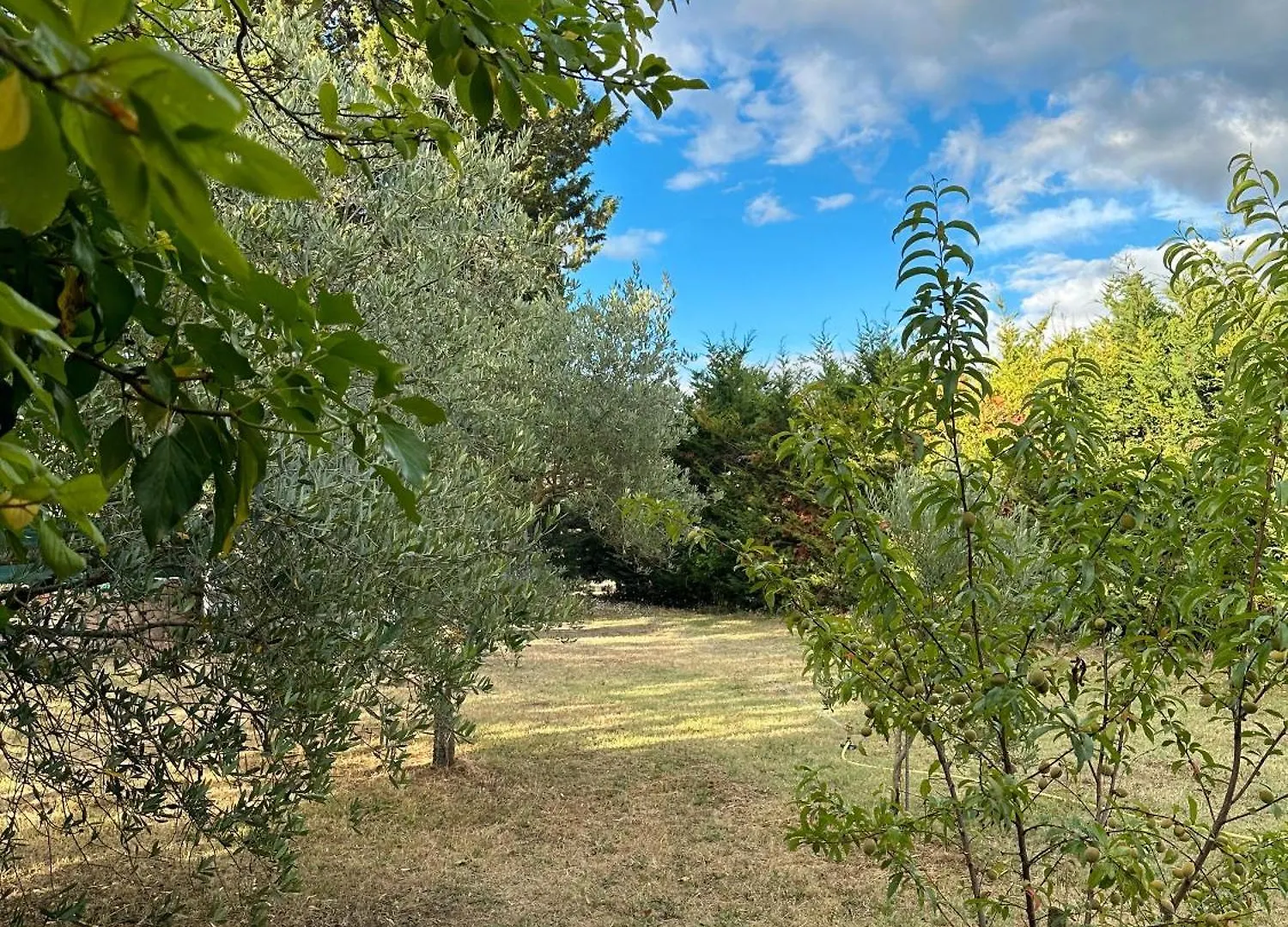 Rustico Con Jacuzzi In Toscana Lano 0*,  Italy